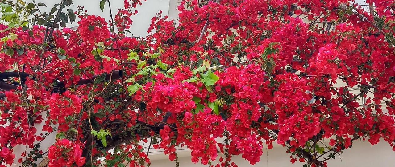Stamatias Home, Fully Equipped Cottage 5 Minutes From The Sea Chania  Exterior foto