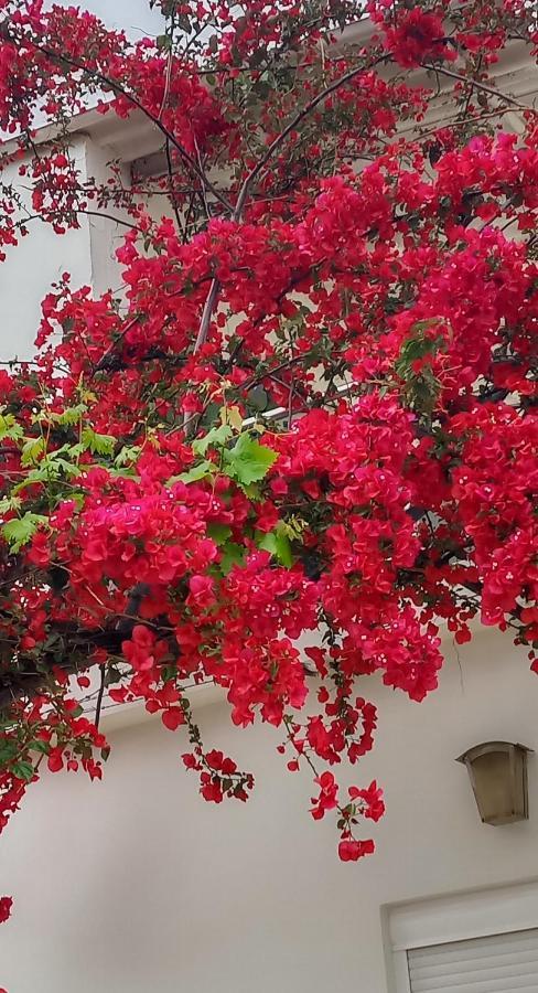 Stamatias Home, Fully Equipped Cottage 5 Minutes From The Sea Chania  Exterior foto